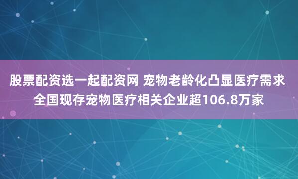 股票配资选一起配资网 宠物老龄化凸显医疗需求 全国现存宠物医疗相关企业超106.8万家
