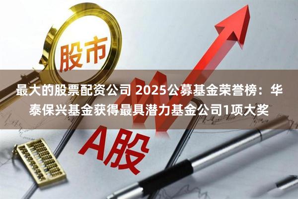 最大的股票配资公司 2025公募基金荣誉榜：华泰保兴基金获得最具潜力基金公司1项大奖