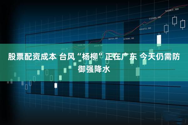 股票配资成本 台风“杨柳”正在广东 今天仍需防御强降水