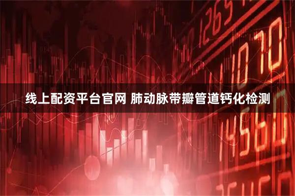 线上配资平台官网 肺动脉带瓣管道钙化检测